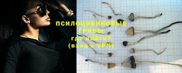 синтетический гашиш Белокуриха
