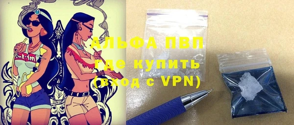 PSILOCYBIN Беломорск