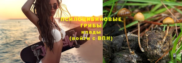 синтетический гашиш Белокуриха