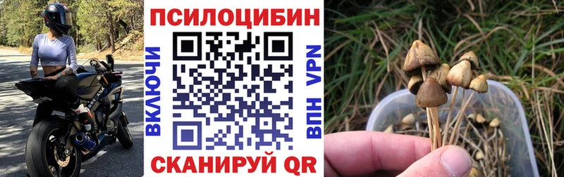 Псилоцибиновые грибы Magic Shrooms  Городище 